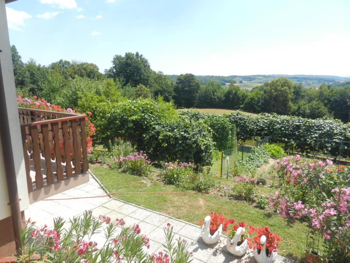 Urlaub Fuer Die Seele - Erholung Pur In Der Natur - Ferienhaus Mit Infrarotkabine & Relax-Raum Rucmanci 외부 사진