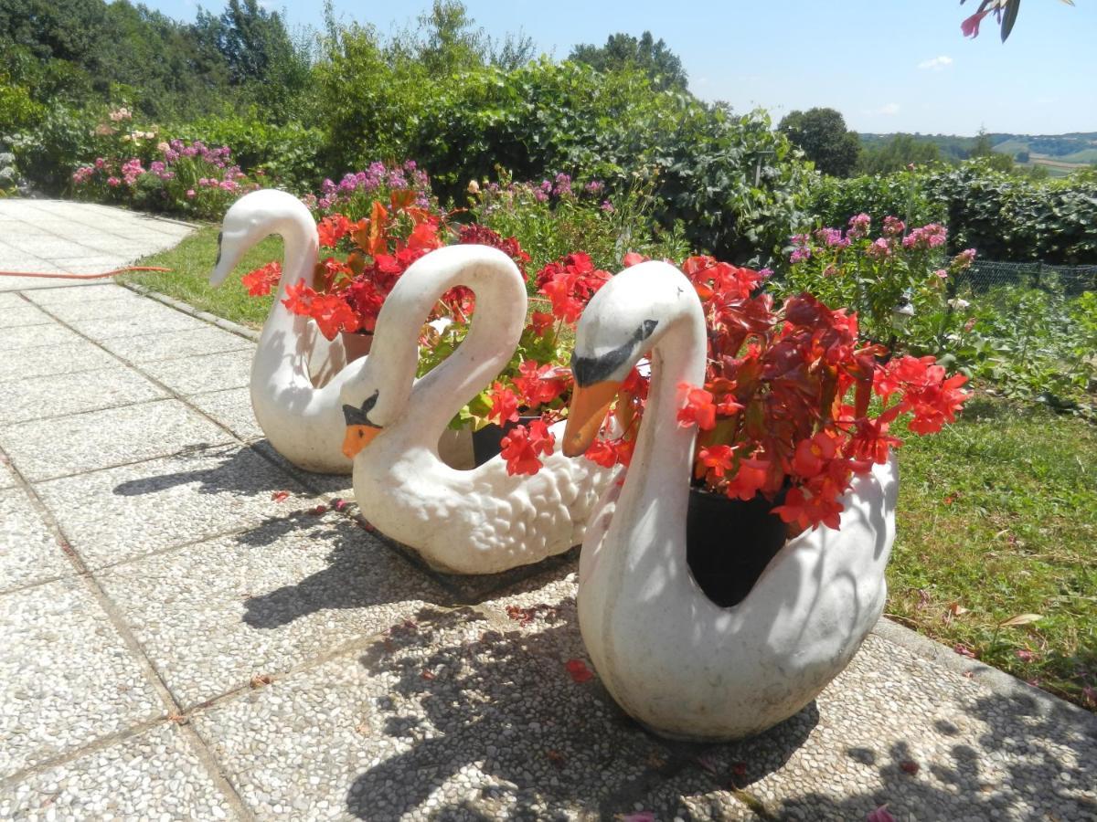 Urlaub Fuer Die Seele - Erholung Pur In Der Natur - Ferienhaus Mit Infrarotkabine & Relax-Raum Rucmanci 외부 사진