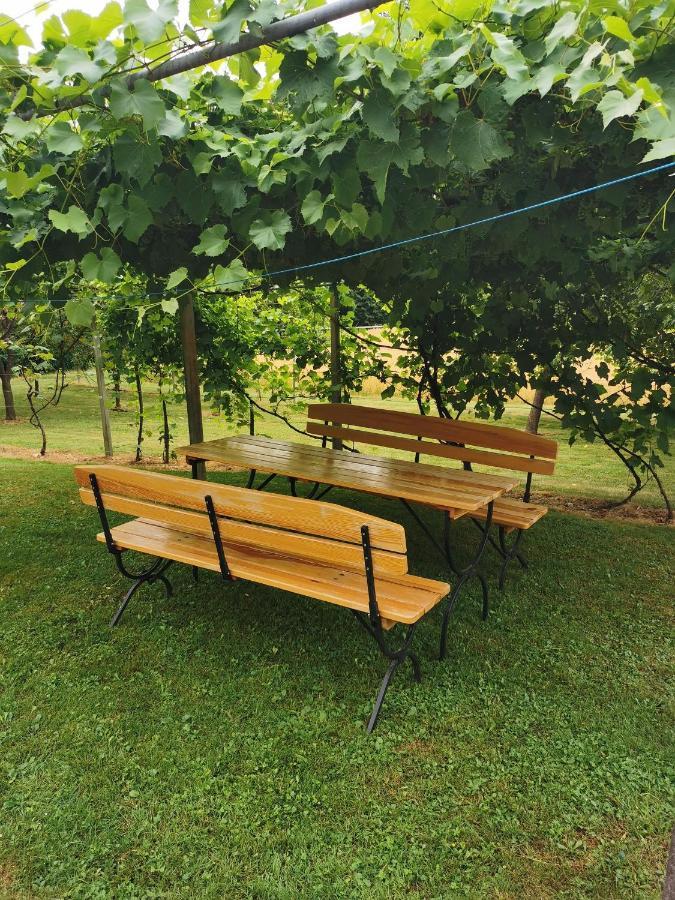 Urlaub Fuer Die Seele - Erholung Pur In Der Natur - Ferienhaus Mit Infrarotkabine & Relax-Raum Rucmanci 외부 사진